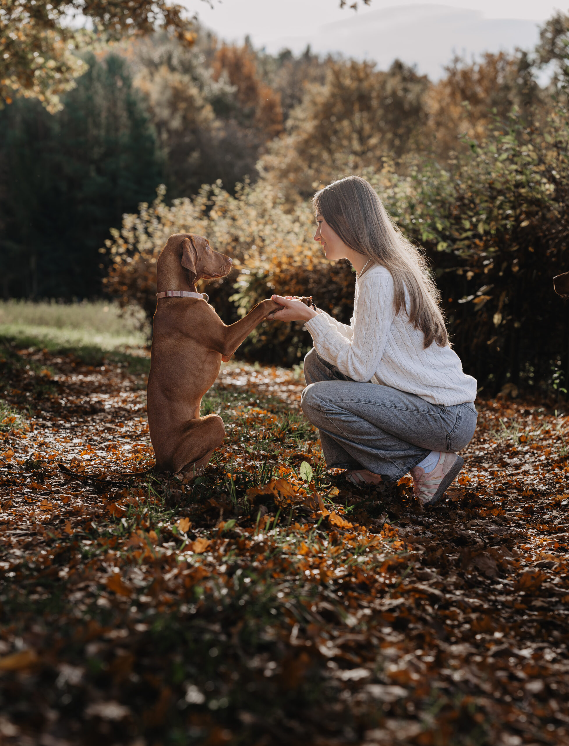 Hundefotografie in Forchheim – natürliches Familienmoment im Herbst